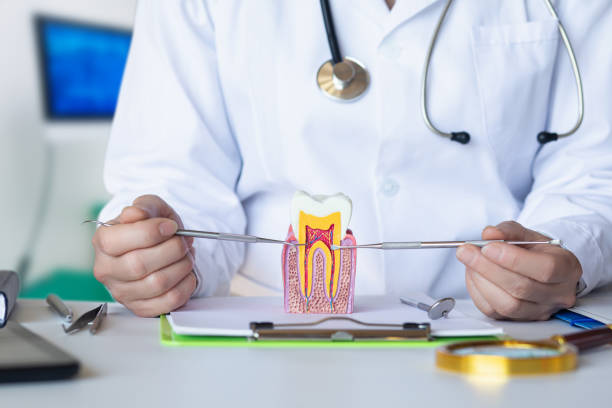 Best Pediatric Emergency Dentist in Morris, OK